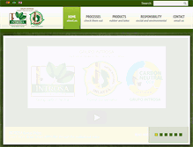 Tablet Screenshot of grupointrosa.com